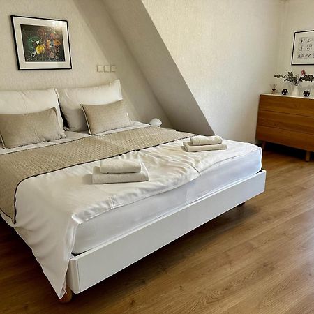 Three Rings Apartments Карлові Вари Екстер'єр фото