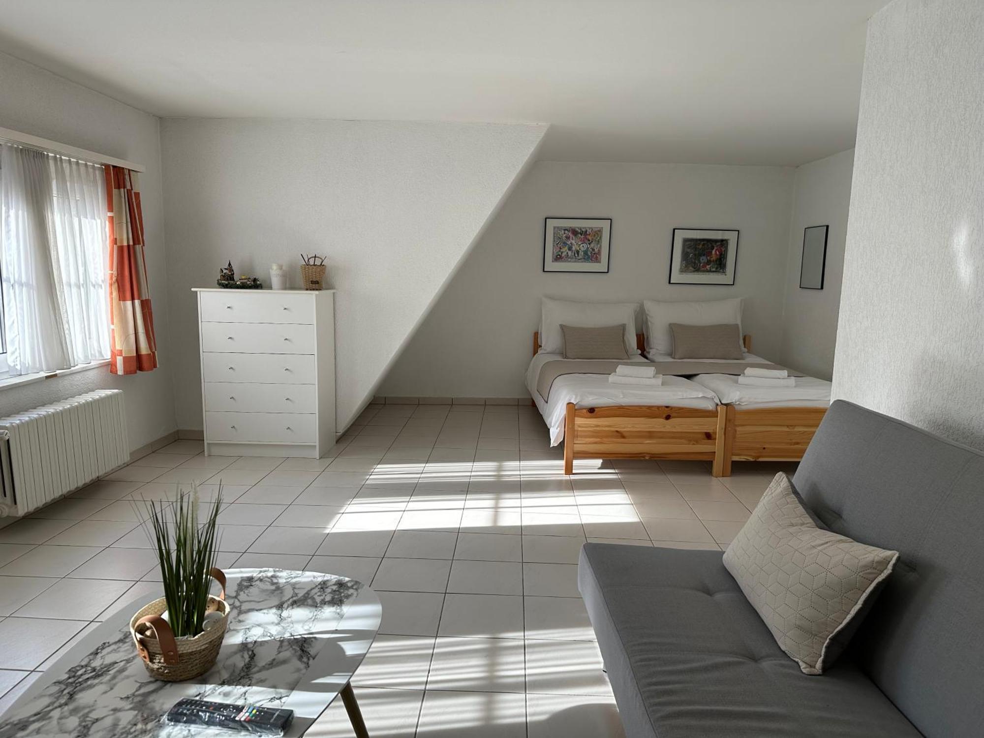 Three Rings Apartments Карлові Вари Екстер'єр фото